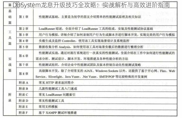 DBSystem龙息升级技巧全攻略：实战解析与高效进阶指南