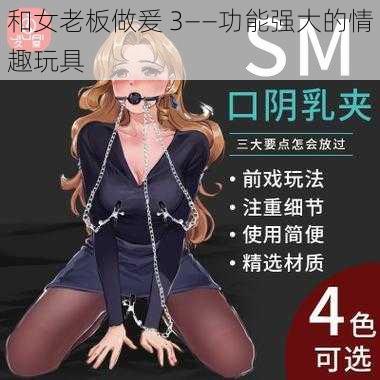 和女老板做爰 3——功能强大的情趣玩具