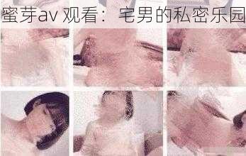 蜜芽av 观看：宅男的私密乐园