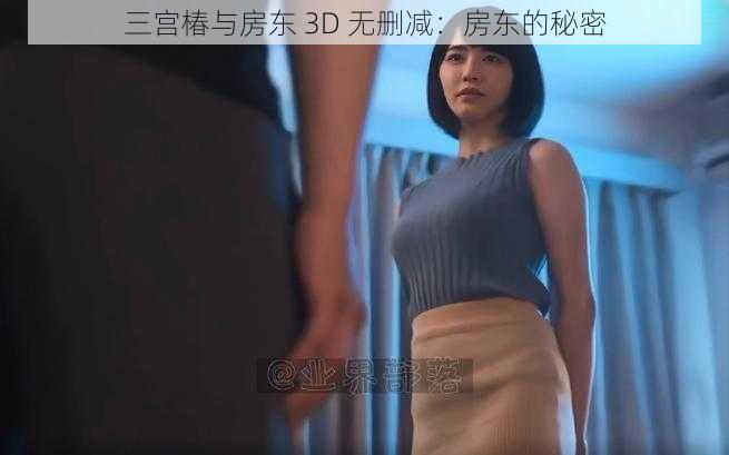 三宫椿与房东 3D 无删减：房东的秘密