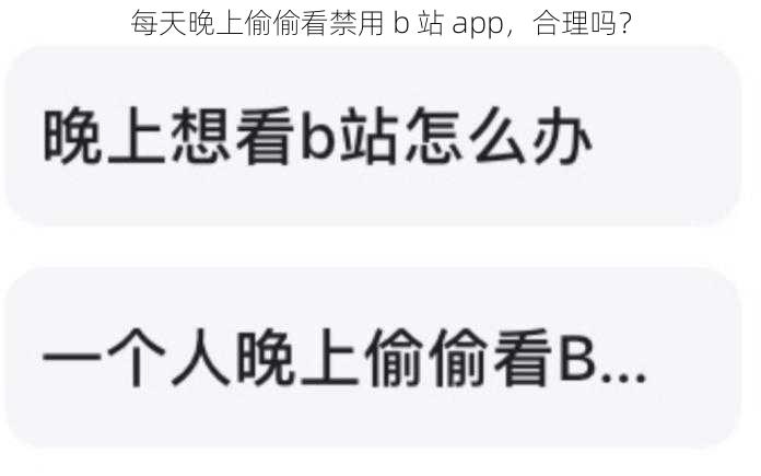 每天晚上偷偷看禁用 b 站 app，合理吗？