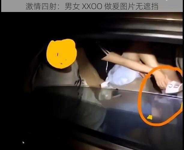 激情四射：男女 XXOO 做爰图片无遮挡