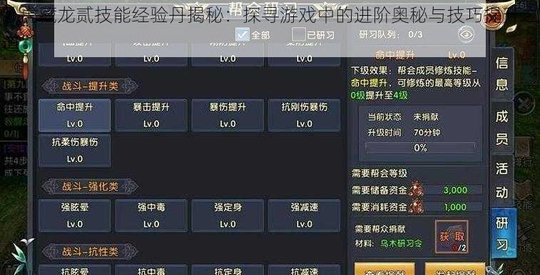 卧虎藏龙贰技能经验丹揭秘：探寻游戏中的进阶奥秘与技巧提升之道