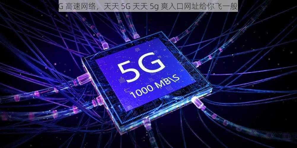 畅享 5G 高速网络，天天 5G 天天 5g 爽入口网址给你飞一般的体验