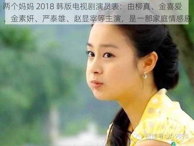 两个妈妈 2018 韩版电视剧演员表：由柳真、金喜爱、金素妍、严泰雄、赵显宰等主演，是一部家庭情感剧