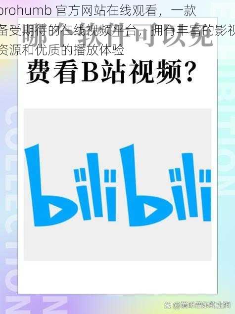 prohumb 官方网站在线观看，一款备受期待的在线视频平台，拥有丰富的影视资源和优质的播放体验