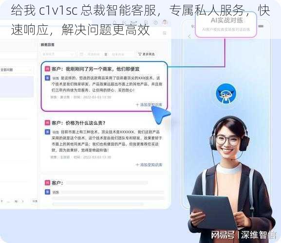 给我 c1v1sc 总裁智能客服，专属私人服务，快速响应，解决问题更高效