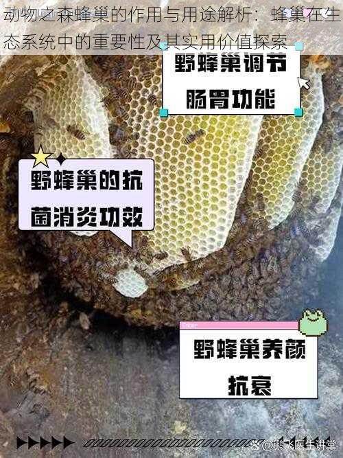 动物之森蜂巢的作用与用途解析：蜂巢在生态系统中的重要性及其实用价值探索