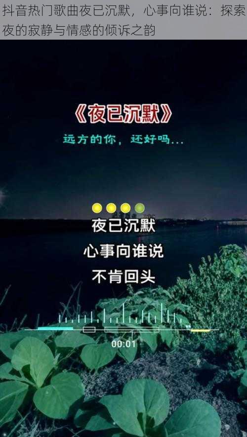 抖音热门歌曲夜已沉默，心事向谁说：探索夜的寂静与情感的倾诉之韵