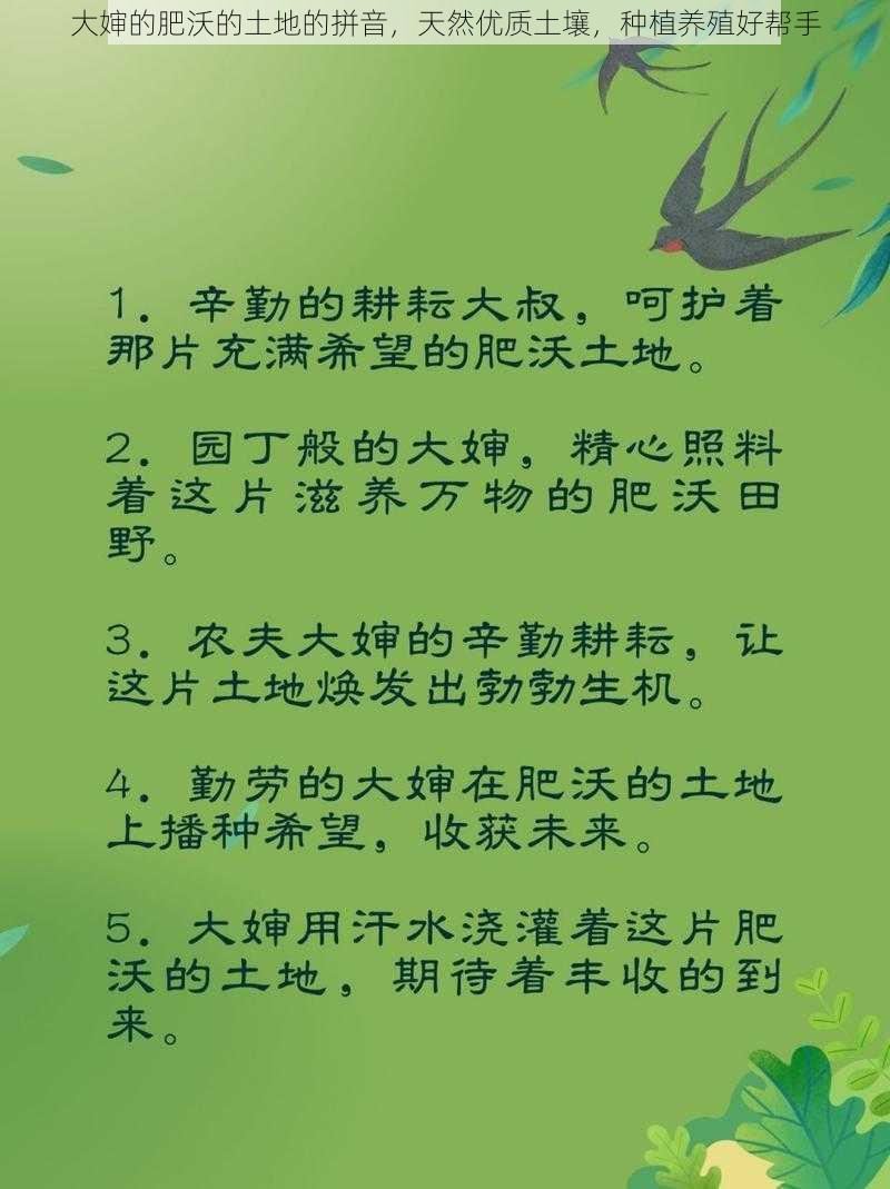 大婶的肥沃的土地的拼音，天然优质土壤，种植养殖好帮手