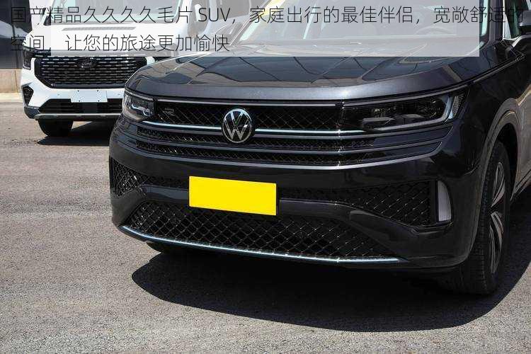 国产精品久久久久毛片 SUV，家庭出行的最佳伴侣，宽敞舒适的空间，让您的旅途更加愉快