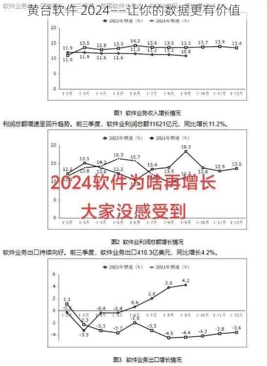 黄台软仵 2024——让你的数据更有价值