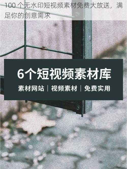 100 个无水印短视频素材免费大放送，满足你的创意需求