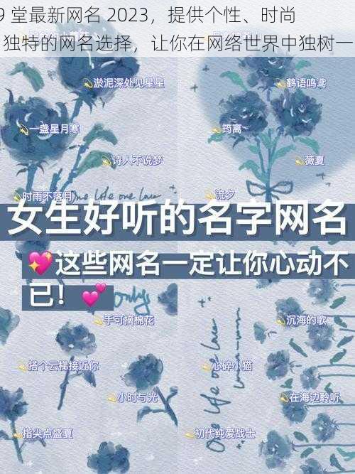 69 堂最新网名 2023，提供个性、时尚、独特的网名选择，让你在网络世界中独树一帜