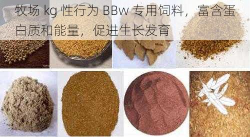 牧场 kg 性行为 BBw 专用饲料，富含蛋白质和能量，促进生长发育