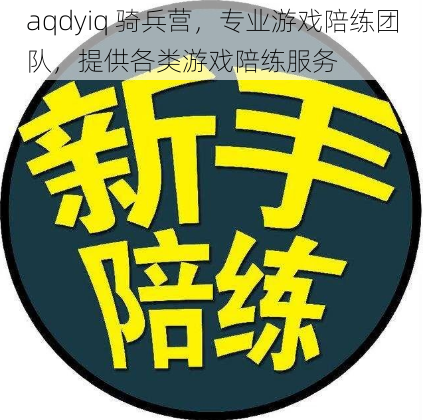 aqdyiq 骑兵营，专业游戏陪练团队，提供各类游戏陪练服务