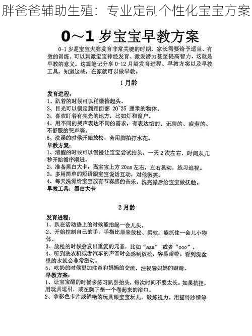 胖爸爸辅助生殖：专业定制个性化宝宝方案