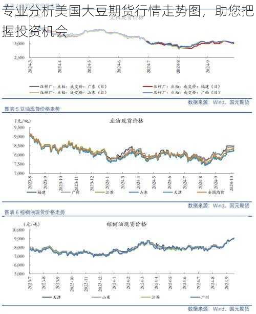 专业分析美国大豆期货行情走势图，助您把握投资机会