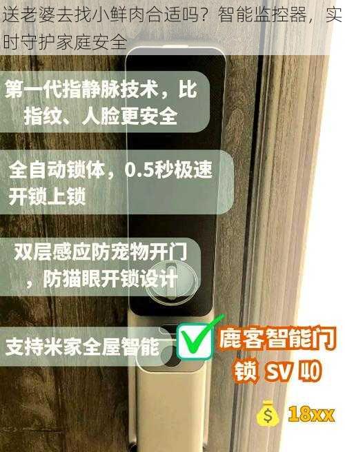 送老婆去找小鲜肉合适吗？智能监控器，实时守护家庭安全