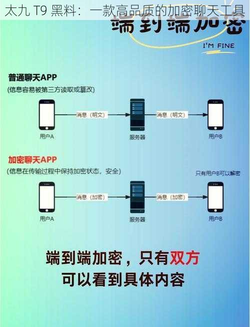 太九 T9 黑料：一款高品质的加密聊天工具