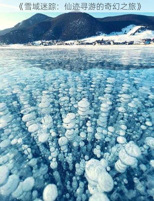 《雪域迷踪：仙迹寻游的奇幻之旅》