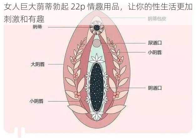 女人巨大荫蒂勃起 22p 情趣用品，让你的性生活更加刺激和有趣