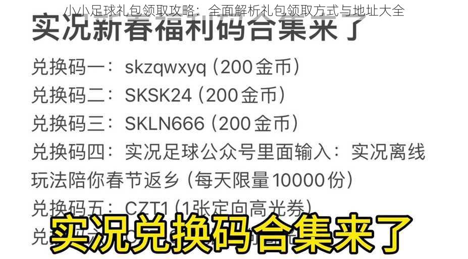 小小足球礼包领取攻略：全面解析礼包领取方式与地址大全