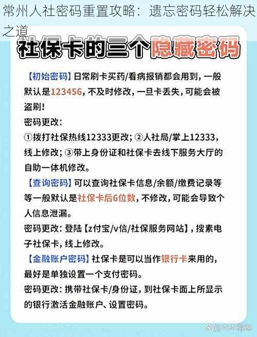 常州人社密码重置攻略：遗忘密码轻松解决之道