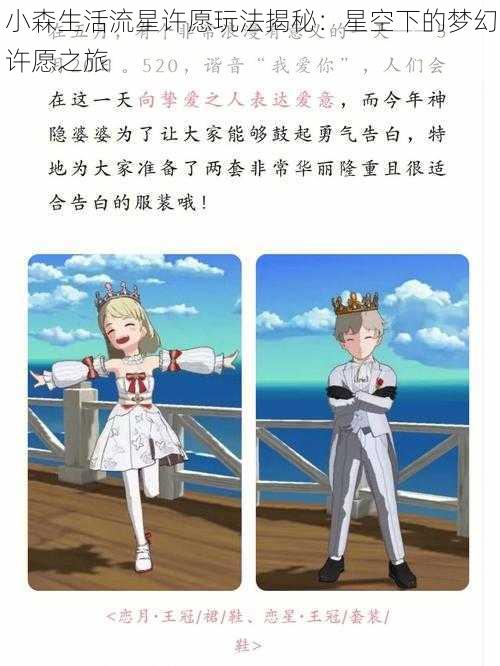 小森生活流星许愿玩法揭秘：星空下的梦幻许愿之旅