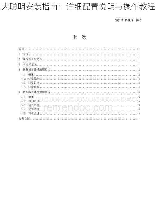 大聪明安装指南：详细配置说明与操作教程