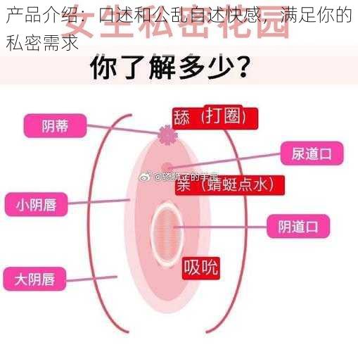 产品介绍：口述和公乱自述快感，满足你的私密需求