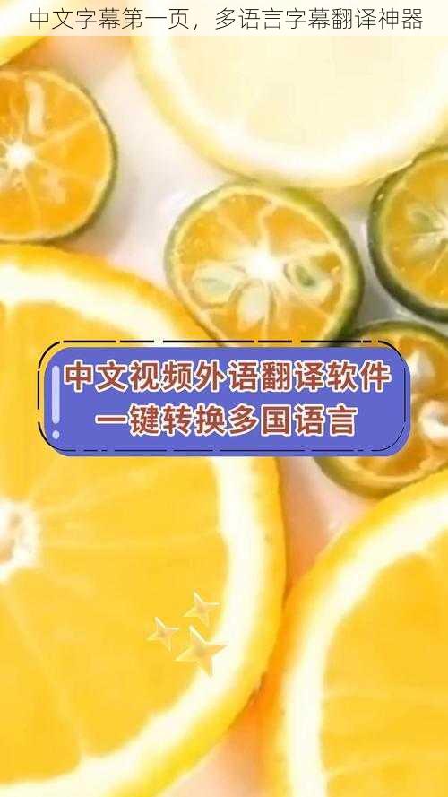 中文字幕第一页，多语言字幕翻译神器