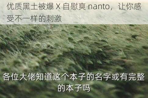 优质黑土被爆 X 自慰爽 nanto，让你感受不一样的刺激