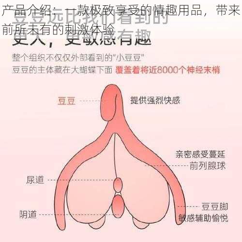 产品介绍：一款极致享受的情趣用品，带来前所未有的刺激体验