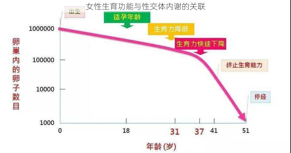 女性生育功能与性交体内谢的关联