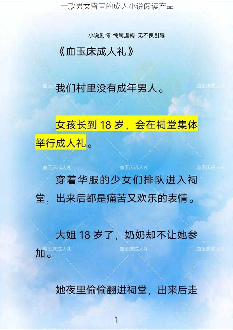 一款男女皆宜的成人小说阅读产品