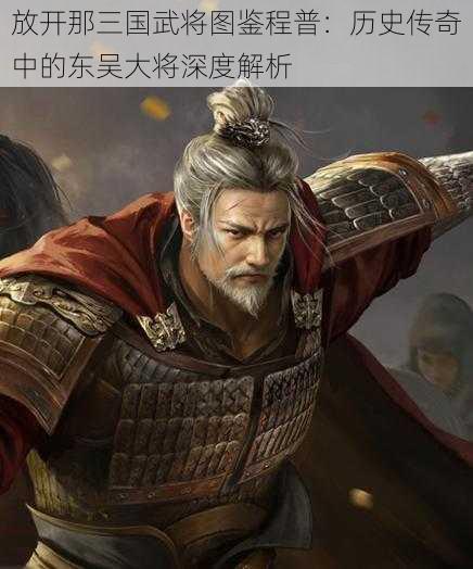 放开那三国武将图鉴程普：历史传奇中的东吴大将深度解析