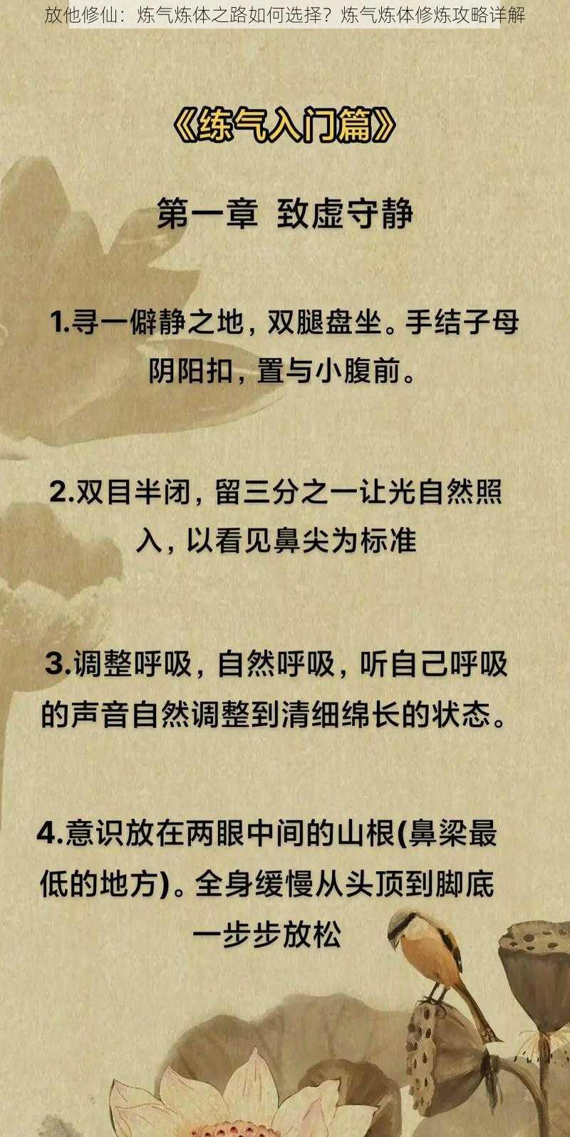 放他修仙：炼气炼体之路如何选择？炼气炼体修炼攻略详解