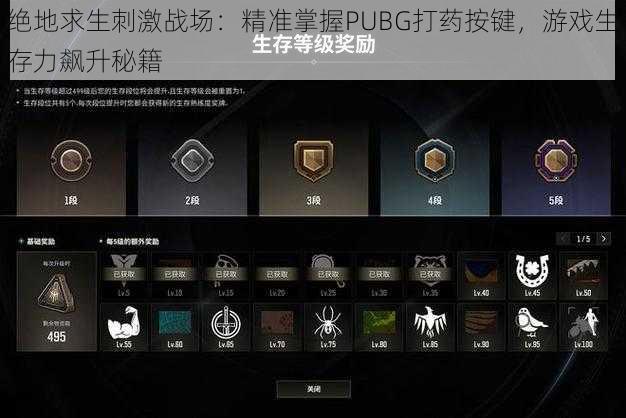 绝地求生刺激战场：精准掌握PUBG打药按键，游戏生存力飙升秘籍