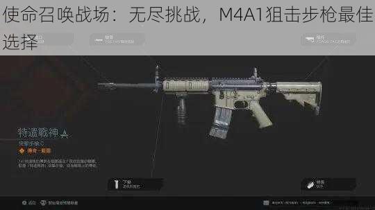 使命召唤战场:无尽挑战,M4A1狙击步枪最佳选择