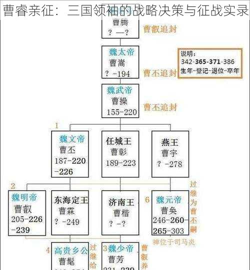 曹睿亲征：三国领袖的战略决策与征战实录