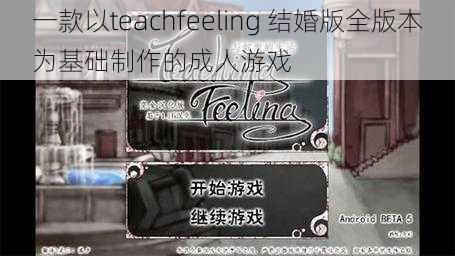 一款以teachfeeling 结婚版全版本为基础制作的成人游戏