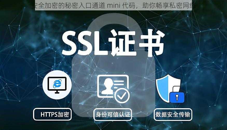 安全加密的秘密入口通道 mini 代码，助你畅享私密网络