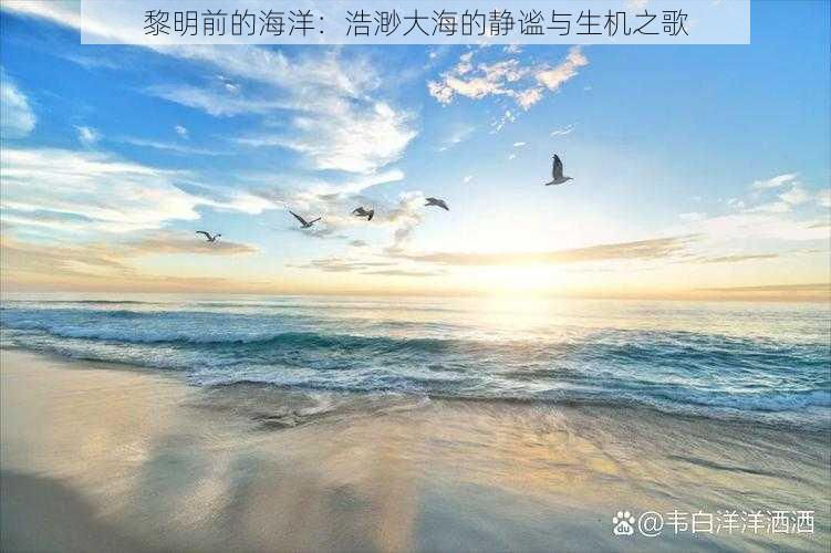 黎明前的海洋：浩渺大海的静谧与生机之歌