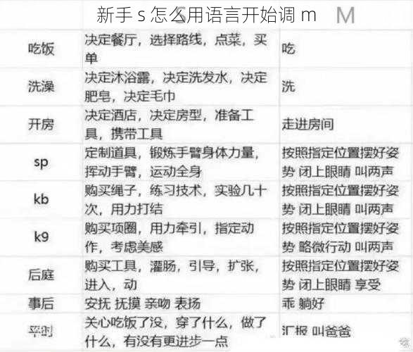 新手 s 怎么用语言开始调 m