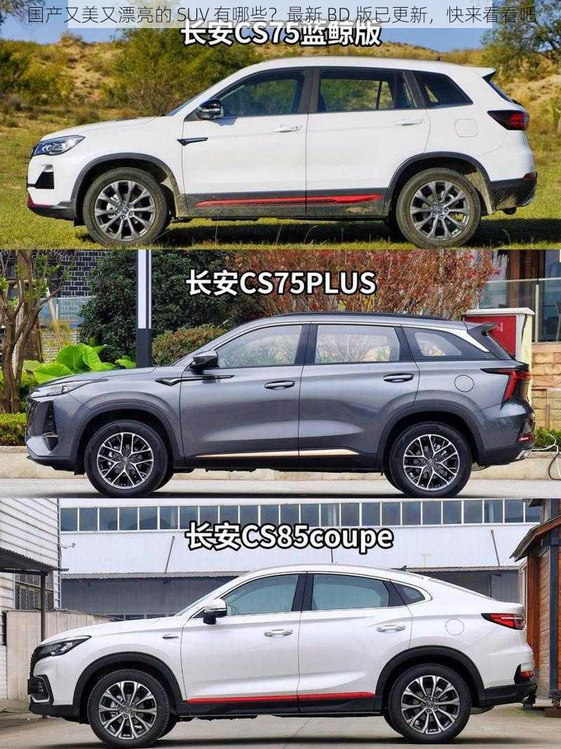 国产又美又漂亮的 SUV 有哪些?最新 BD 版已更新,快来看看吧