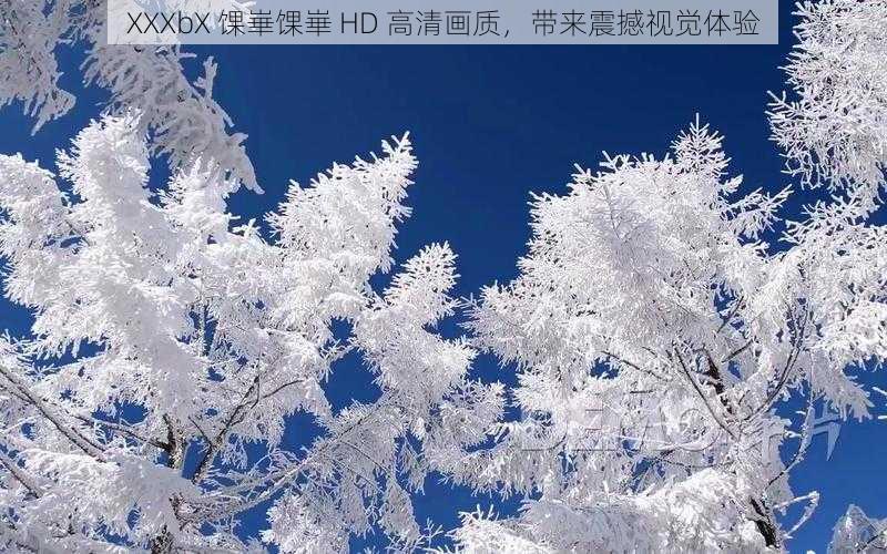 XXXbX 馃崋馃崋 HD 高清画质，带来震撼视觉体验