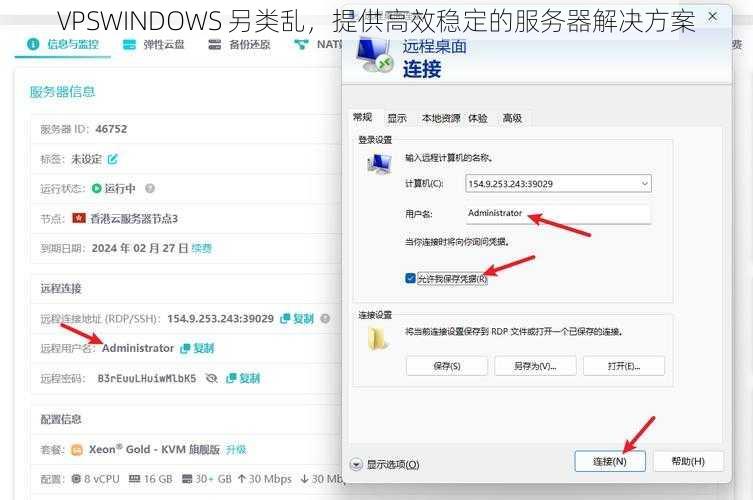 VPSWINDOWS 另类乱,提供高效稳定的服务器解决方案