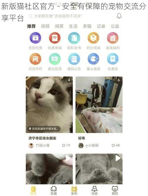 新版猫社区官方 - 安全有保障的宠物交流分享平台