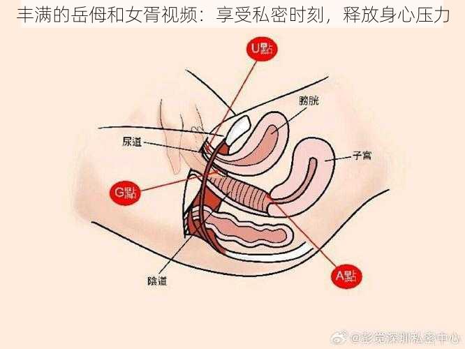 丰满的岳㑄和女胥视频：享受私密时刻，释放身心压力